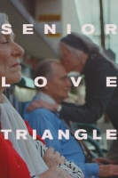 Senior Love Triangle 2019 720p WEBRip 800MB x264-GalaxyRG