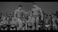 Arnold S01E01 1080p HEVC x265-MeGusta EZTV