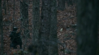 Manhunt Unabomber S01E07 WEB-DL x264-RARBG Manhunt Unabomber S01E07 WEB-DL x264-RARBG