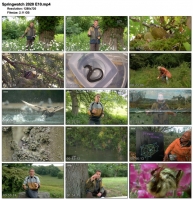 Springwatch 2020 E10 (1280x720p HD, 50fps, soft Eng subs)