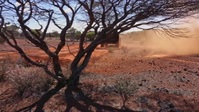Aussie Gold Hunters S07E07 720p HEVC x265-MeGusta EZTV