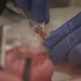 Life and Birth S01E01 iNTERNAL WEB H264-BiSH[TGx]