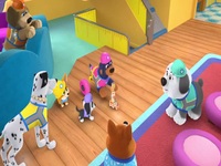 Pupstruction S01E06 480p x264-mSD EZTV