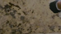 Dirty Rotten Cleaners S01E08 XviD-AFG EZTV