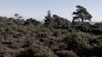 Winterwatch S05E04 720p HDTV x264-PiECES[eztv]