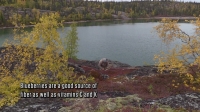 Alone S06E03 720p WEB h264-TBS [eztv]