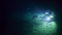 OceanXplorers S01E03 XviD-AFG EZTV OceanXplorers S01E03 XviD-AFG EZTV