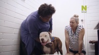 Outback Vet S01E01 1080p HEVC x265-MeGusta EZTV Outback Vet S01E01 1080p HEVC x265-MeGusta EZTV
