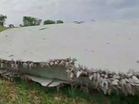 MH370 The Lost Flight S01E02 No Answers 480p x264-mSD EZTV MH370 The Lost Flight S01E02 No Answers 480p x264-mSD EZTV