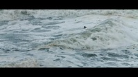 100 Foot Wave S01E01 XviD-AFG EZTV 100 Foot Wave S01E01 XviD-AFG EZTV