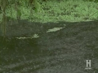 Swamp People S10E07 Cajun Cyclone 480p x264-mSD [eztv]