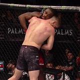 The Ultimate Fighter S28 Finale HDTV x264-VERUM[TGx]