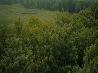 See S03E02 480p x264-mSD EZTV