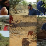 Primal Survivor S04E03 720p WEB h264-TBS Primal Survivor S04E03 720p WEB h264-TBS