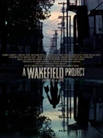 A Wakefield Project 2019 1080p WEB-DL DD5 1 H264-FGT