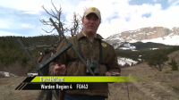 Yellowstone Wardens S03E09 XviD-AFG EZTV Yellowstone Wardens S03E09 XviD-AFG EZTV