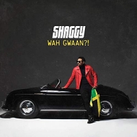 Shaggy - Wah Gwaan?! (2019) [320 KBPS]