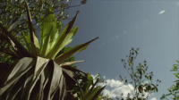 The Hidden River S01E01 XviD-AFG EZTV The Hidden River S01E01 XviD-AFG EZTV