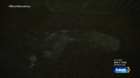 Ghost Adventures S15E16 HDTV x264-W4F[eztv]