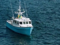 Wicked Tuna S09E06 Kraken the Code 480p x264-mSD [eztv]