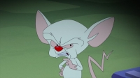 Animaniacs 2020 S01E01 1080p HEVC x265-MeGusta EZTV