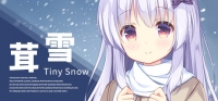 Tiny Snow Tiny Snow