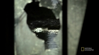 Port Protection S02E06 720p HDTV x264-CURIOSITY EZTV Port Protection S02E06 720p HDTV x264-CURIOSITY EZTV