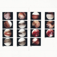 The Cradle - Laughing in My Sleep (2020) Mp3 320kbps [PMEDIA] ️