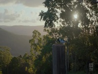 Back To Nature S01E01 480p x264-mSD EZTV