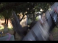 Surviving Summer S01E08 480p x264-mSD EZTV Surviving Summer S01E08 480p x264-mSD EZTV