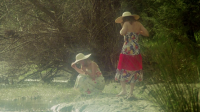 Felicity 1978 720p BluRay H264 AAC