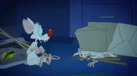 Animaniacs 2020 S01 WEBRip x264-ION10 EZTV Animaniacs 2020 S01 WEBRip x264-ION10 EZTV