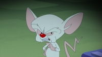 Animaniacs 2020 S01E01 720p HEVC x265-MeGusta EZTV Animaniacs 2020 S01E01 720p HEVC x265-MeGusta EZTV
