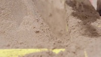 Race Against the Tide S01E08 XviD-AFG EZTV Race Against the Tide S01E08 XviD-AFG EZTV