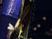 Deadliest Catch S18E08 480p x264-mSD EZTV