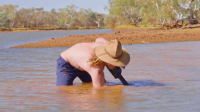 Aussie Gold Hunters S09E01 XviD-AFG EZTV
