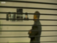 David Wilsons Crime Files S01E06 480p x264-mSD EZTV David Wilsons Crime Files S01E06 480p x264-mSD EZTV