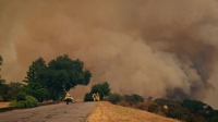 Cal Fire S01E02 A Devil Comin At You XviD-AFG EZTV Cal Fire S01E02 A Devil Comin At You XviD-AFG EZTV