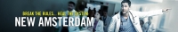 New Amsterdam 2018 S02E10 XviD-AFG[TGx]