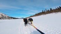 Life Below Zero First Alaskans S02E03 XviD-AFG EZTV Life Below Zero First Alaskans S02E03 XviD-AFG EZTV