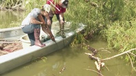 Swamp People S13E14 720p HEVC x265-MeGusta EZTV