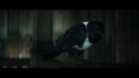 The Sandman S01E01 1080p HEVC x265-MeGusta EZTV The Sandman S01E01 1080p HEVC x265-MeGusta EZTV
