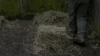 The Zoo US S05E02 Bouncing Troody XviD-AFG EZTV