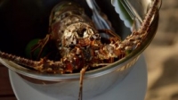 Restaurants on the Edge S02E06 720p WEB X264-AMRAP [eztv]