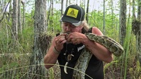 Swamp People Serpent Invasion S03E04 XviD-AFG EZTV