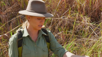 Aussie Gold Hunters S09E05 XviD-AFG EZTV