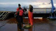 Deadliest Catch S19E13 720p HEVC x265-MeGusta EZTV