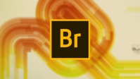 Adobe Bridge 2021 v11.0.0.83 (x64) Pre-Cracked {CracksHash}