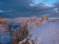 Nature S39E08 Winters Fortress 480p x264-mSD EZTV Nature S39E08 Winters Fortress 480p x264-mSD EZTV