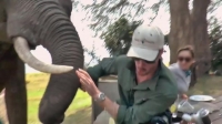 Nature Gone Wild S01E04 WEB h264-BAE EZTV